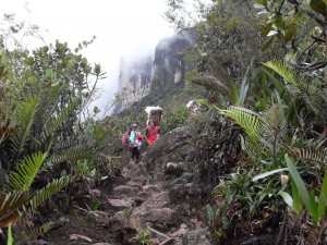 Aufstieg zum Roraima